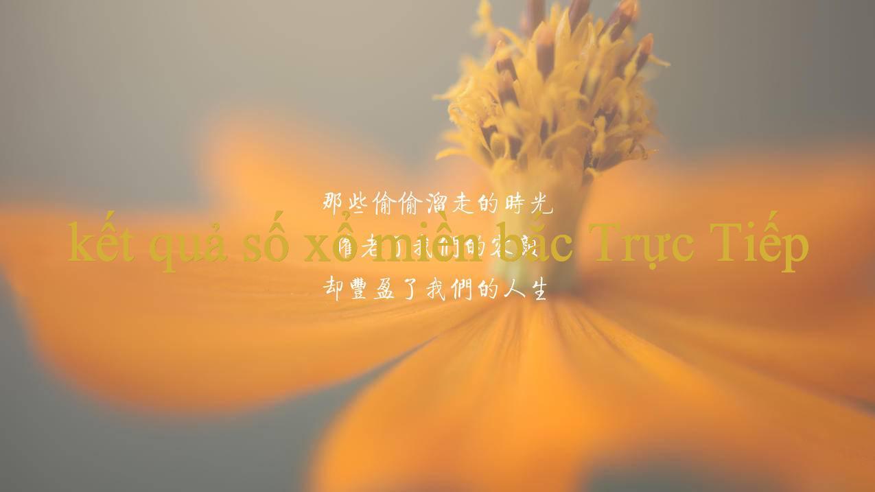 You are currently viewing Kết Quả Số Xổ Miền Bắc Thách Thức & Cơ Hội Trên Sàn Đấu Trực Tuyến