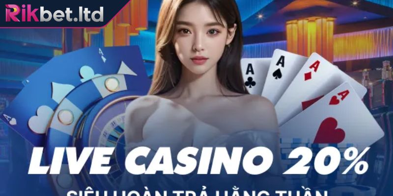 You are currently viewing Khám Phá Vin Go88 – Nền Tảng Cá Cược Đẳng Cấp