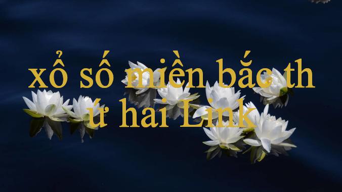 You are currently viewing Xổ Số Miền Bắc Thứ Hai Trải Nghiệm Xem Truyền Hình Trực Tuyến Tuyệt Vời Nhất