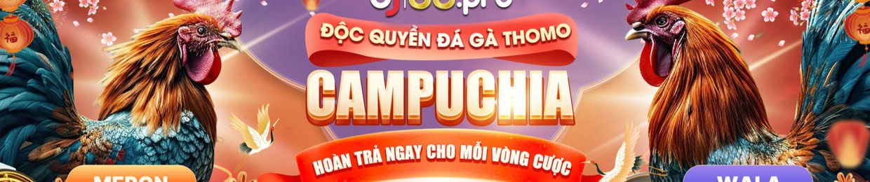 You are currently viewing Khám Phá Phim Set Co Tieng Viet – Thắng Lớn Hàng Ngày